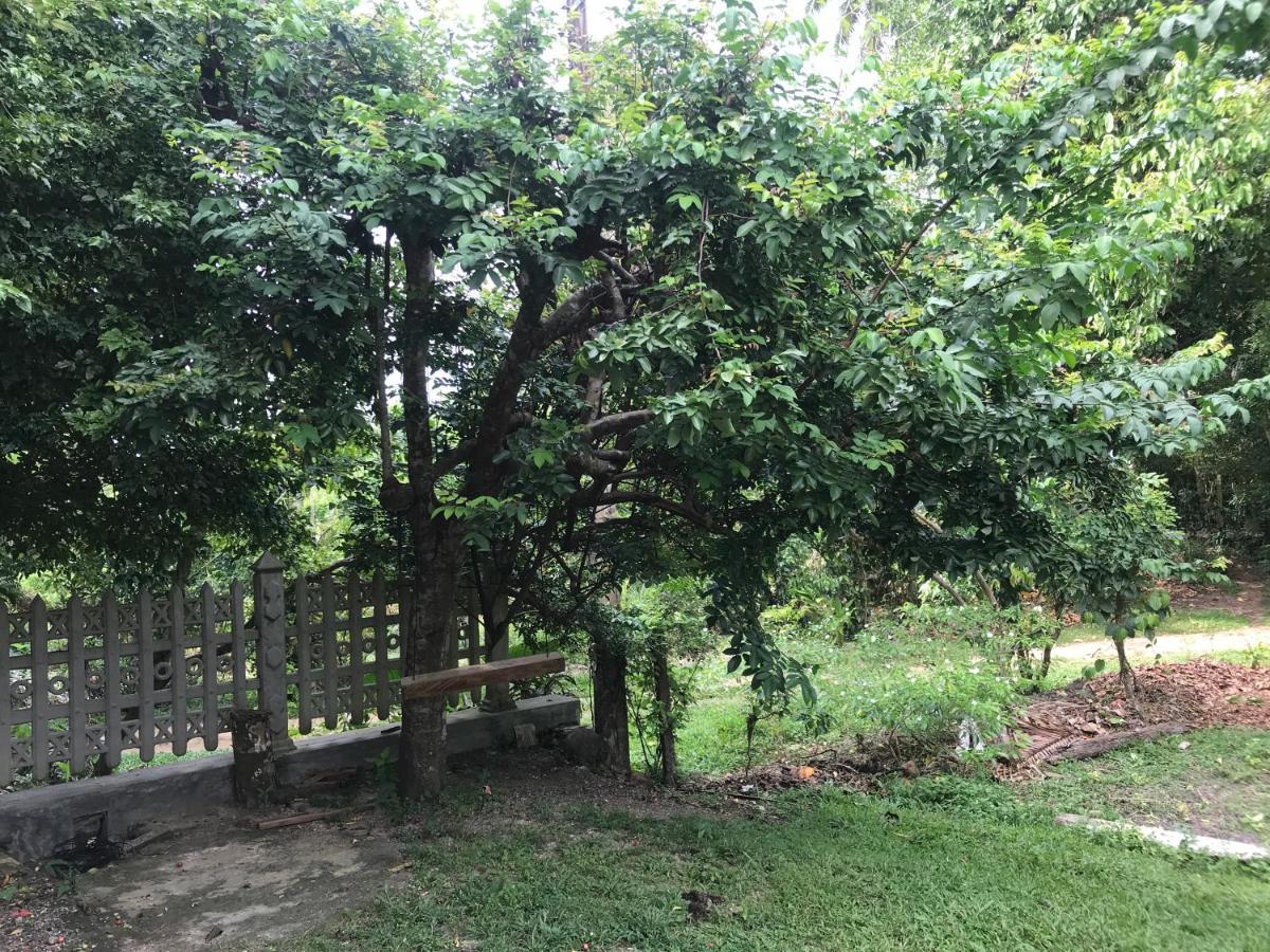 Eco Willow - Kathaluwa Atadahewatugoda Dış mekan fotoğraf